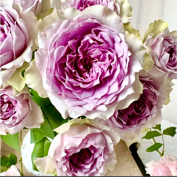 ππ€ππ΄ππ€ππ΄ππ€ππ΄ππ€ππ΄ - Picture 10 of 13